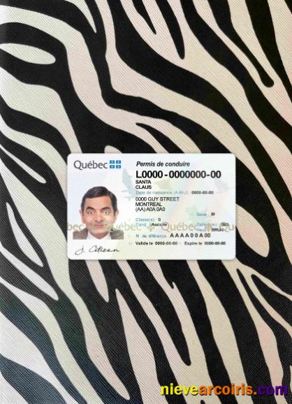 Canada Quebec driving license photolook